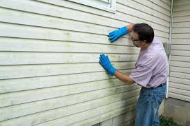 Best Siding Maintenance  in Yadkinville, NC